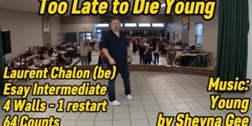 Too Late to Die Young