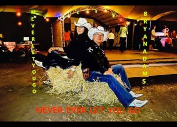 Never Ever Let You Go