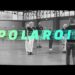 Polaroid
