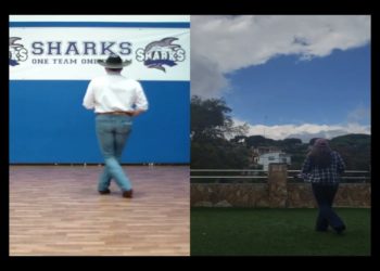 Rooster (Style Catalan)