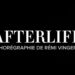 Afterlife