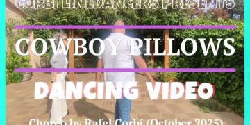 Cowboy Pillows
