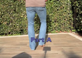 Gamecock (Style Catalan)