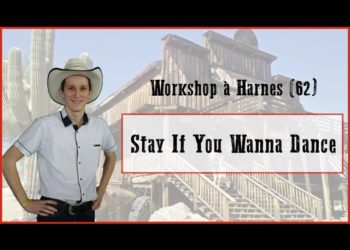 Stay if You Wanna Dance